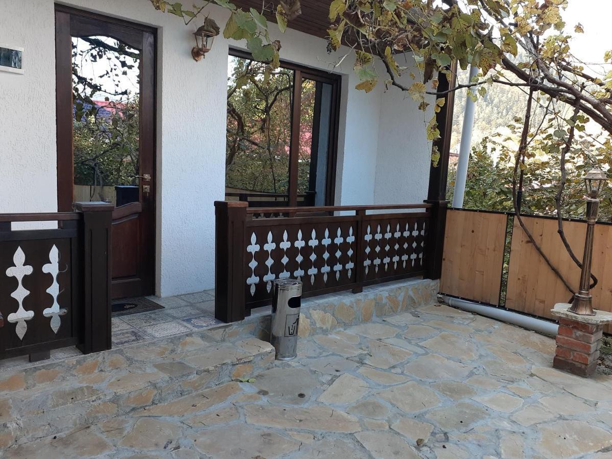 Apartment Borjomi, Erekle Street, 21A 外观 照片